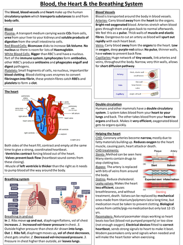 New Spec AQA Biology Knowledge organiser Blood, heart and breathing system