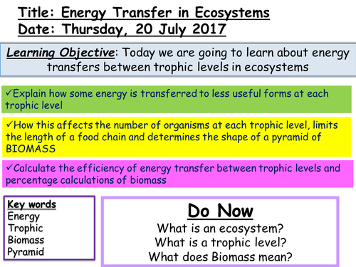 Edexcel Biology GCSE 9-1 SB9b Energy Transfer lesson