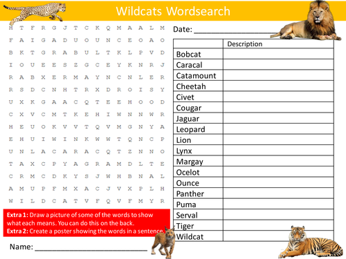 Wildcats Wordsearch Starter Activity Big Cats Lion Tiger Homework Cover Lesson Plenary