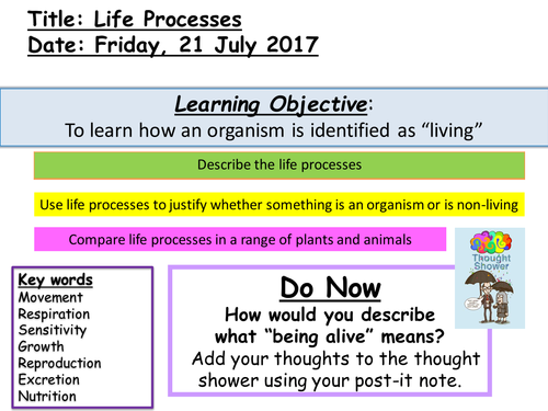 Life Processes 7a KS3 resource
