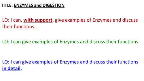 GCSE - Biology - ENZYMES AND DIGESTION