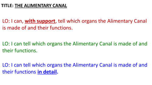 GCSE - Biology - THE ALIMENTARY CANAL