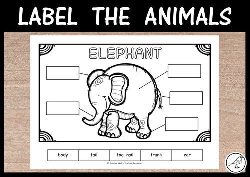 Label the Zoo Animals