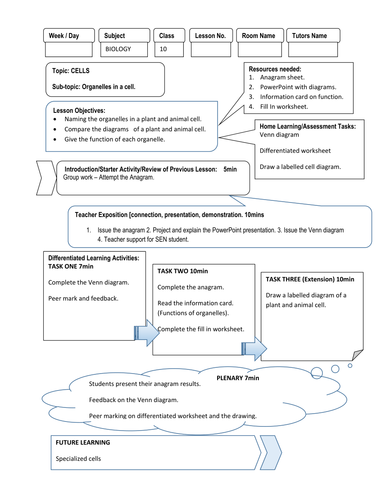 IGCSE -GCSE Biology - Organelles in a plant and animal ...