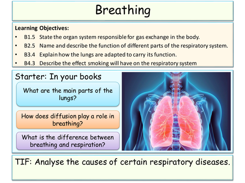 Breathing and Lungs