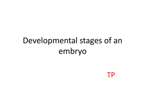 Developmental stages of an embryo