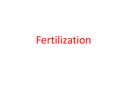 Fertilization and Implantation