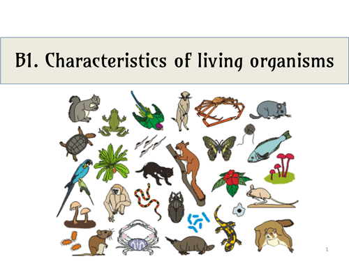 IGCSE combined science (presentation including exercises of entire biology topics)