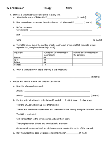 B2 Cell Division FORMATIVE ASSESSMENT and MARK SCHEME *NEW SPEC*