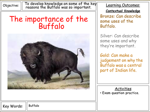 american-west-importance-of-the-buffalo-teaching-resources