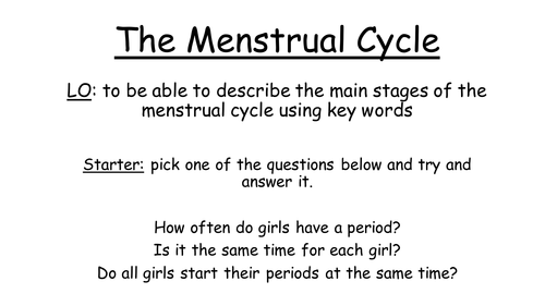 Menstrual Cycle