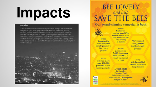 Impacts - Bees and Fairtrade