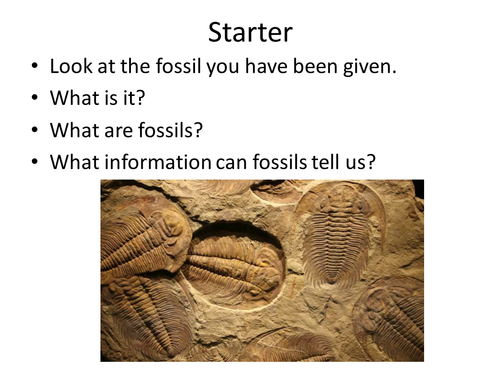 lesson-on-fossils-and-extinction-teaching-resources