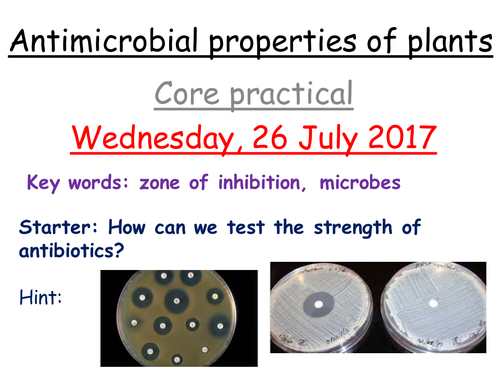 Antimicrobial properties of plants core practical- SNAB A level Biology
