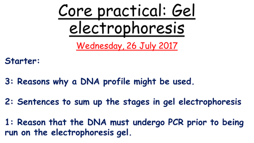 Gel electrophoresis core practical- SNAB Biology A level