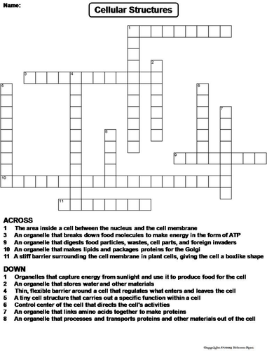 Cell Organelles Crossword Puzzle Teaching Resources