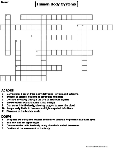 Human Body Systems Crossword Puzzle Teaching Resources