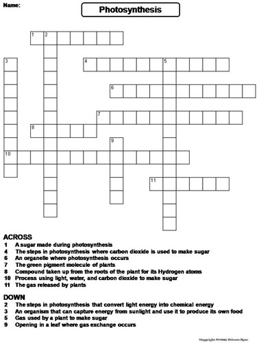 Photosynthesis Crossword Puzzle