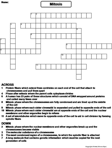 Mitosis Crossword Puzzle