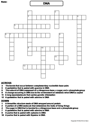 DNA Crossword Puzzle