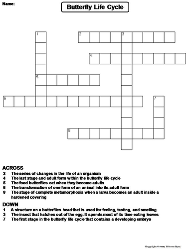 Life Cycle of a Butterfly Crossword Puzzle