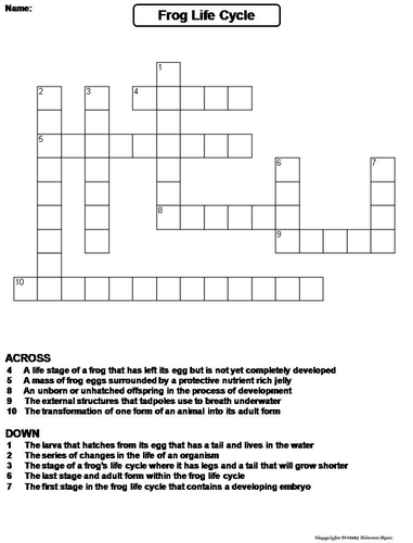 Life Cycle of a Frog Crossword Puzzle