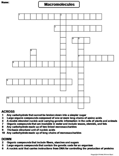 Macromolecules Crossword Puzzle