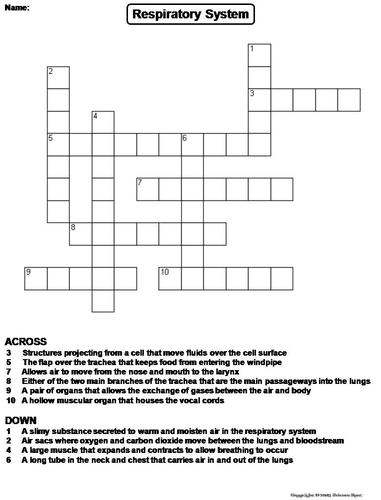 Respiratory System Crossword Puzzle by ScienceSpot - Teaching Resources