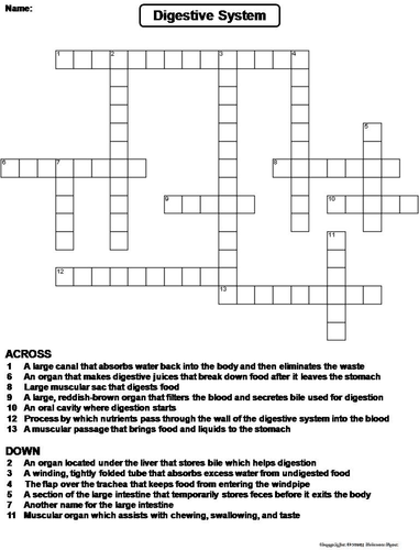 Digestive System Crossword Puzzle.