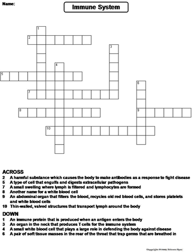 Immune System Crossword Puzzle