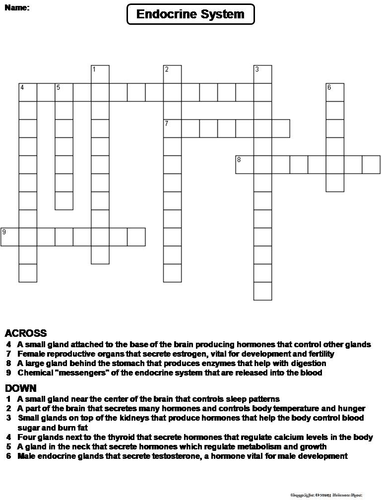 Endocrine System Crossword Puzzle Teaching Resources