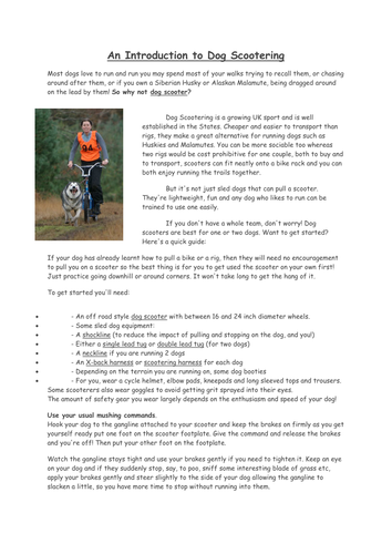 Writing to Advise lesson dog scootering theme. Writing skills GCSE and KS3 English