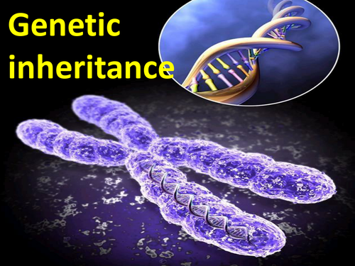 Genetic inheritance