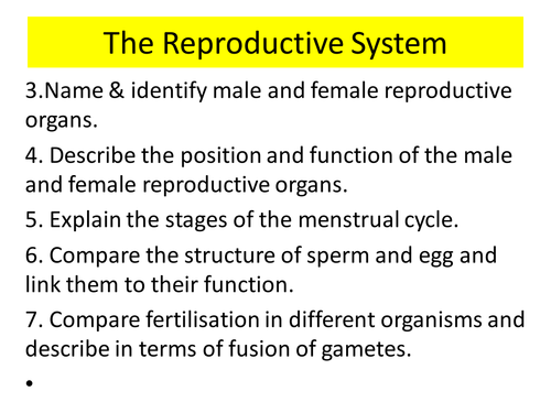 Reproductive Organs (KS3)