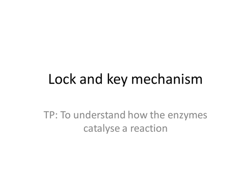 Lock and key mechanism- Enzymes