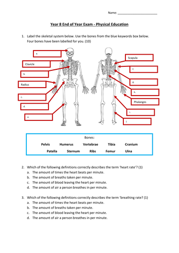 Year 8 End of Year PE Theory Exam - Key Stage 3 - All Resources - Simple GCSE Content