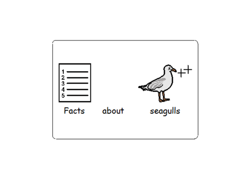 Lighthouse keepers lunch (Facts about seagulls) -SEN