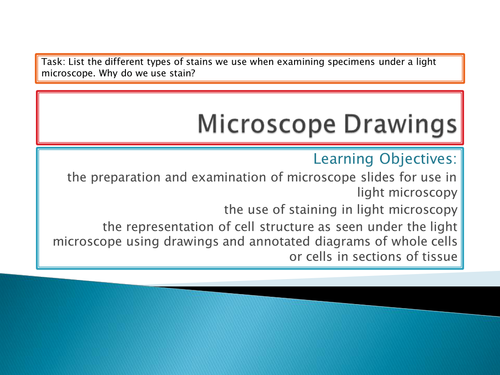 OCR A level biology - Microscope drawings | Teaching Resources