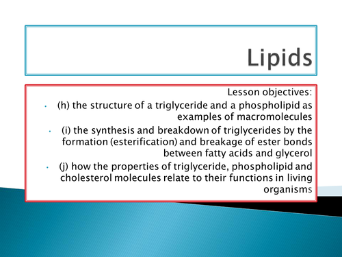 OCR A level Biology Module 2 - chapter 3 - lipids lesson