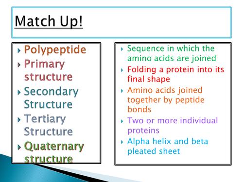 OCR A level Biology Module 2 - chapter 3 - types of proteins lesson