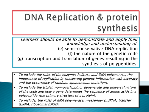 OCR A level biology - module 2 - chapter 3 -  DNA replication, transcription, translation lesson