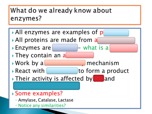 OCR A level Biology - Module 2 - Chapter 4 - Enzymes
