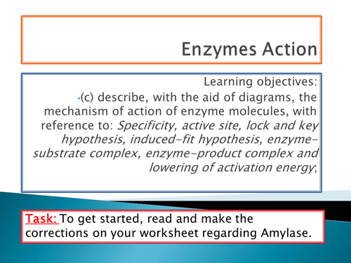 All about enzymes biology picture