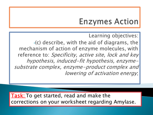 OCR A level Biology - Module 2 - Chapter 4 - Enzyme action
