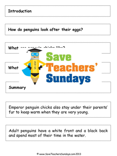 Explanation Text Paragraphing Activity and Lesson Plan (Life Cycle of a Penguin)