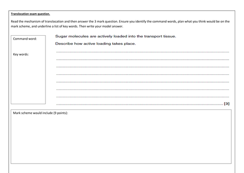 NEW SPEC - A level biology - OCR- Module 3 - Chapter 9 - Transport in plants- translocation
