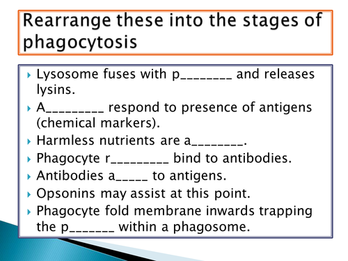 NEW Spec -A level Biology - OCR - Module 4 - chapter 10 - disease - Specific immune response