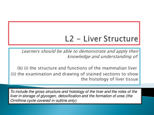 NEW SPEC - A level Biology - Module 5 - Comm & Excretion - Chapter 2 - Liver structure