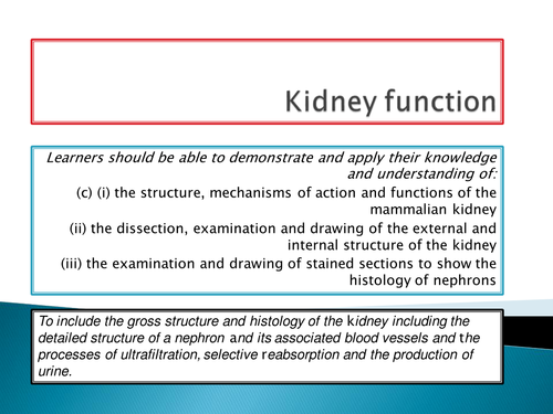 NEW SPEC - A level Biology - Module 5 - Comm & Excretion - Chapter 2 - Kidney function