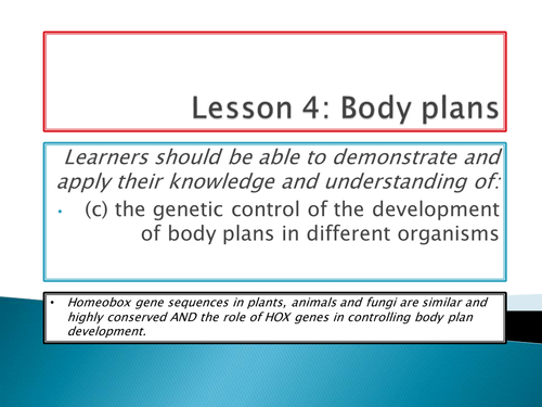New SPEC A level biology - Module 6 -Genetics - Chapter 1 - cell control - Body plans and homeobox